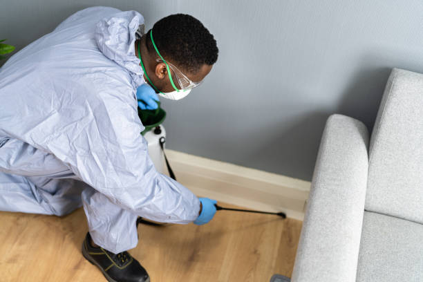 Best Pest Prevention Services  in Westerville, OH